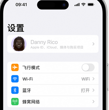 称多appleID维修服务iPhone设置中Apple ID显示为灰色无法使用 