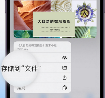 称多apple维修中心分享iPhone文件应用中存储和找到下载文件