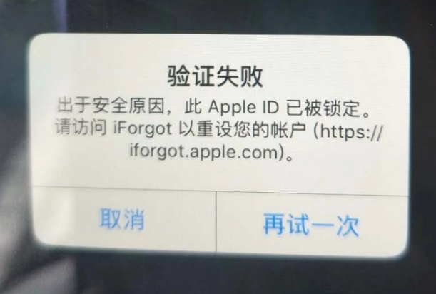 称多iPhone维修分享iPhone上正常登录或使用AppleID怎么办 