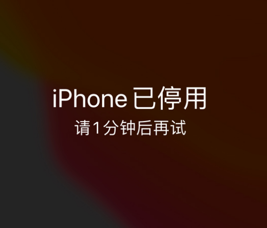 称多苹果手机维修分享:iPhone 显示“不可用”或“已停用”怎么办？还能保留数据吗？ 