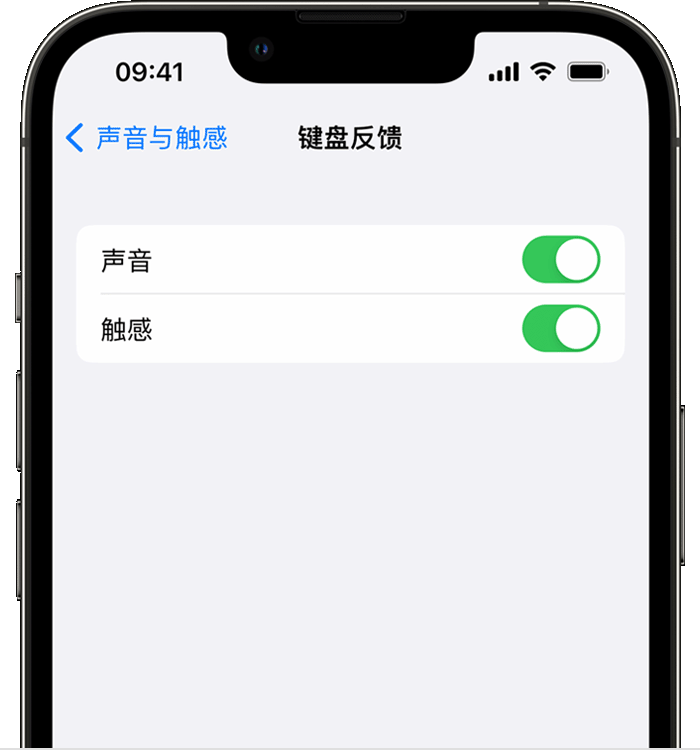 称多苹果14维修分享iPhone 14 系列机型如何开启键盘声音或触感反馈 