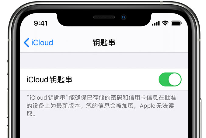 称多苹果手机维修分享在 iPhone 上开启 iCloud 钥匙串之后会储存哪些信息 