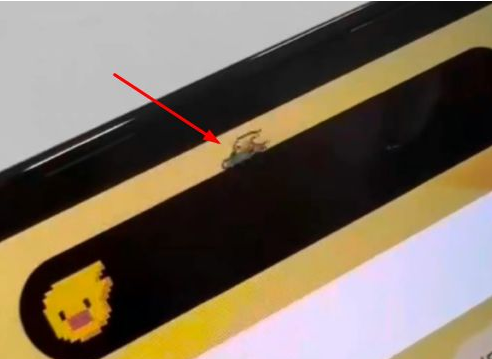 称多苹果14维修分享iPhone 14 Pro Max灵动岛怎么养宠物 