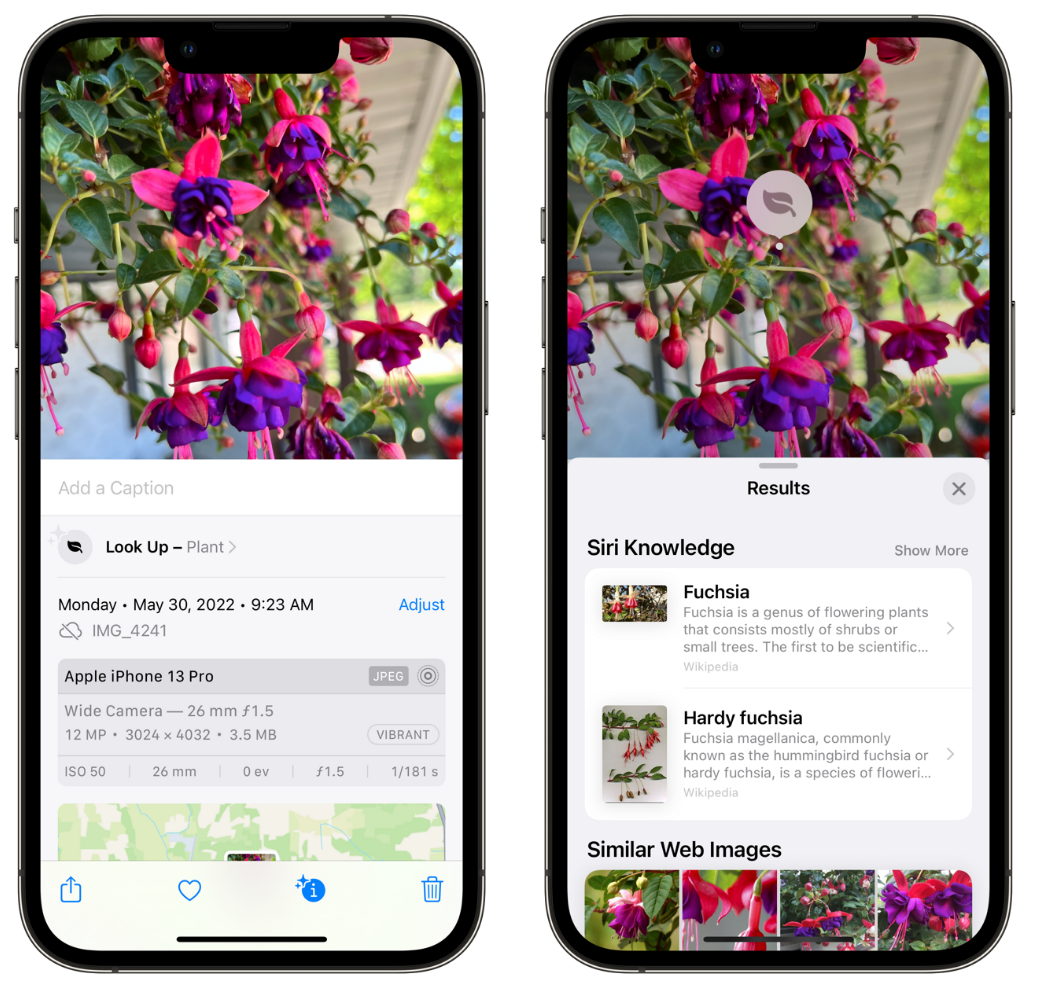 称多苹果手机维修分享小技巧：使用 iPhone 相机识别花卉植物 