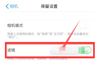 称多苹果13维修分享iPhone13拍照有绿点是怎么回事 