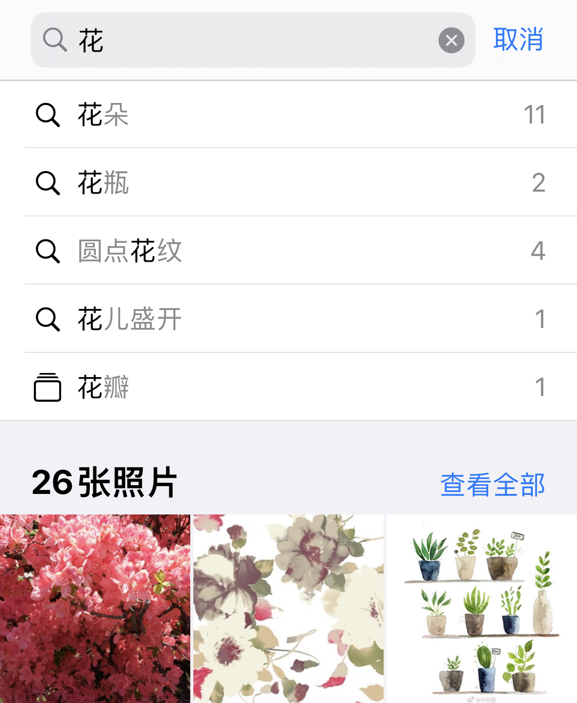 称多苹果手机维修分享iPhone 小技巧 