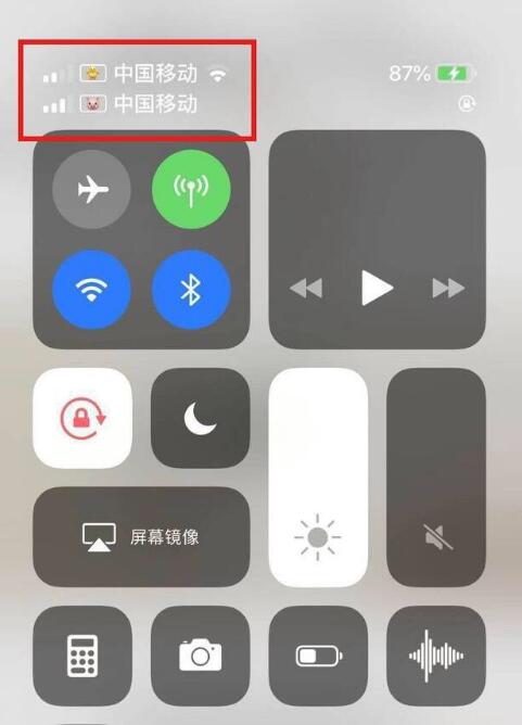 称多苹果手机维修分享为 iPhone 12 双卡设置标签 
